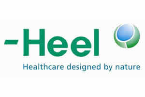 Heel